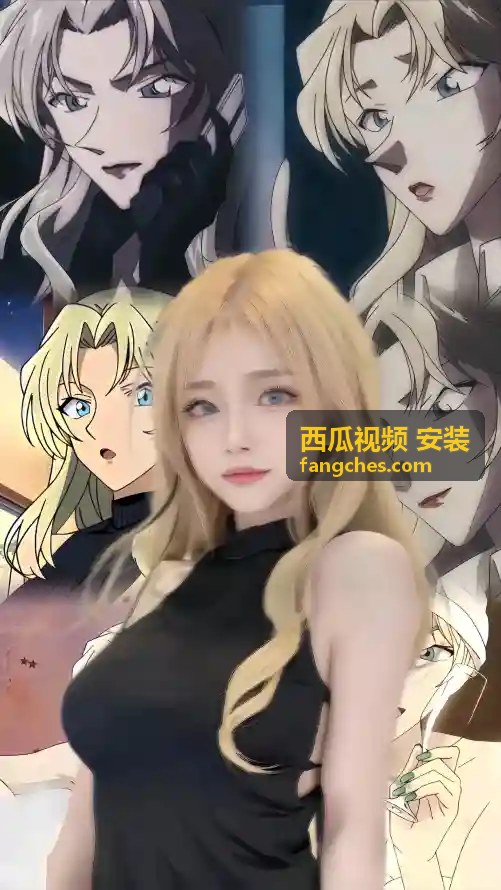 西瓜视频手机版安装指南